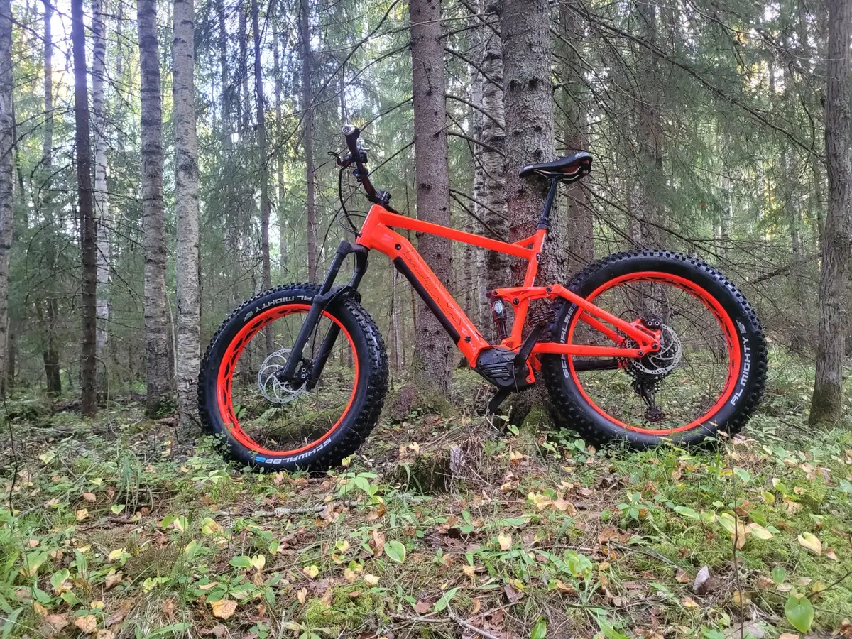 Punainen vuoden 2021 MAXX Huraxdax metsässä