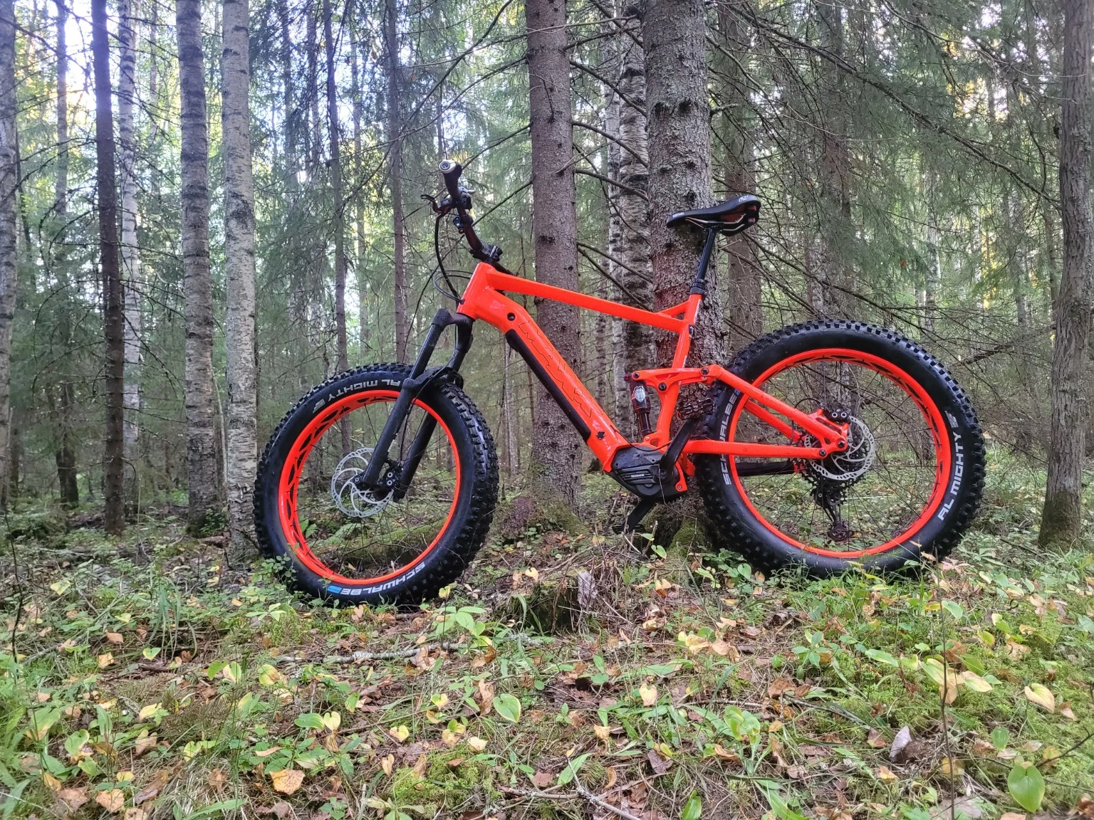 Punainen vuoden 2021 MAXX Huraxdax metsässä